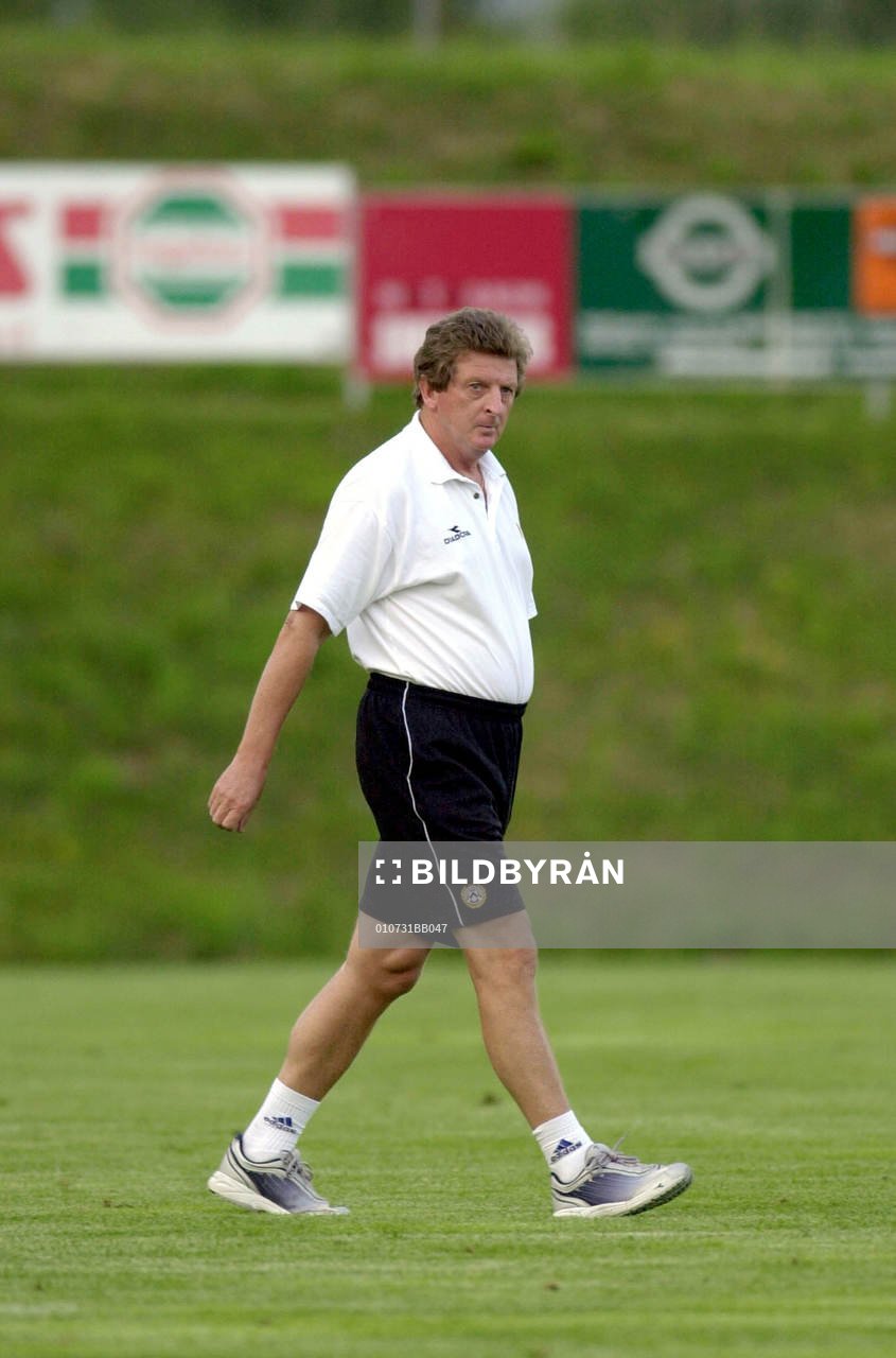 Roy Hodgson, tränare