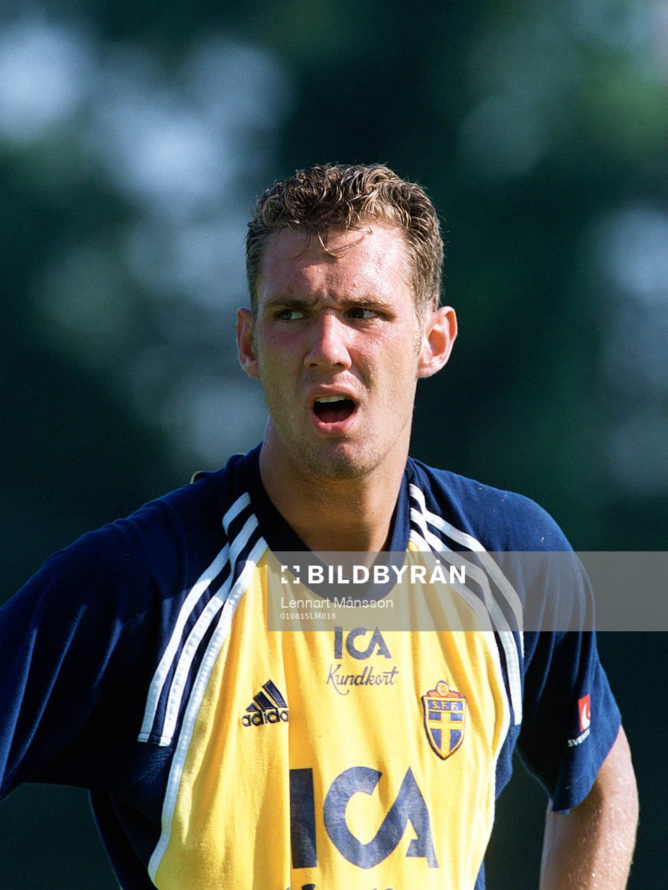 Andreas Isaksson, Sverige