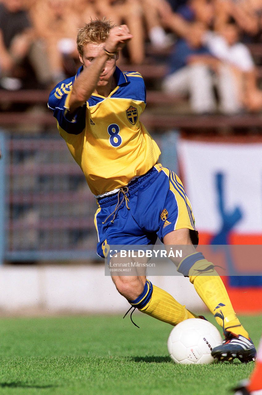 Christian Wilhelmsson, Sverige
