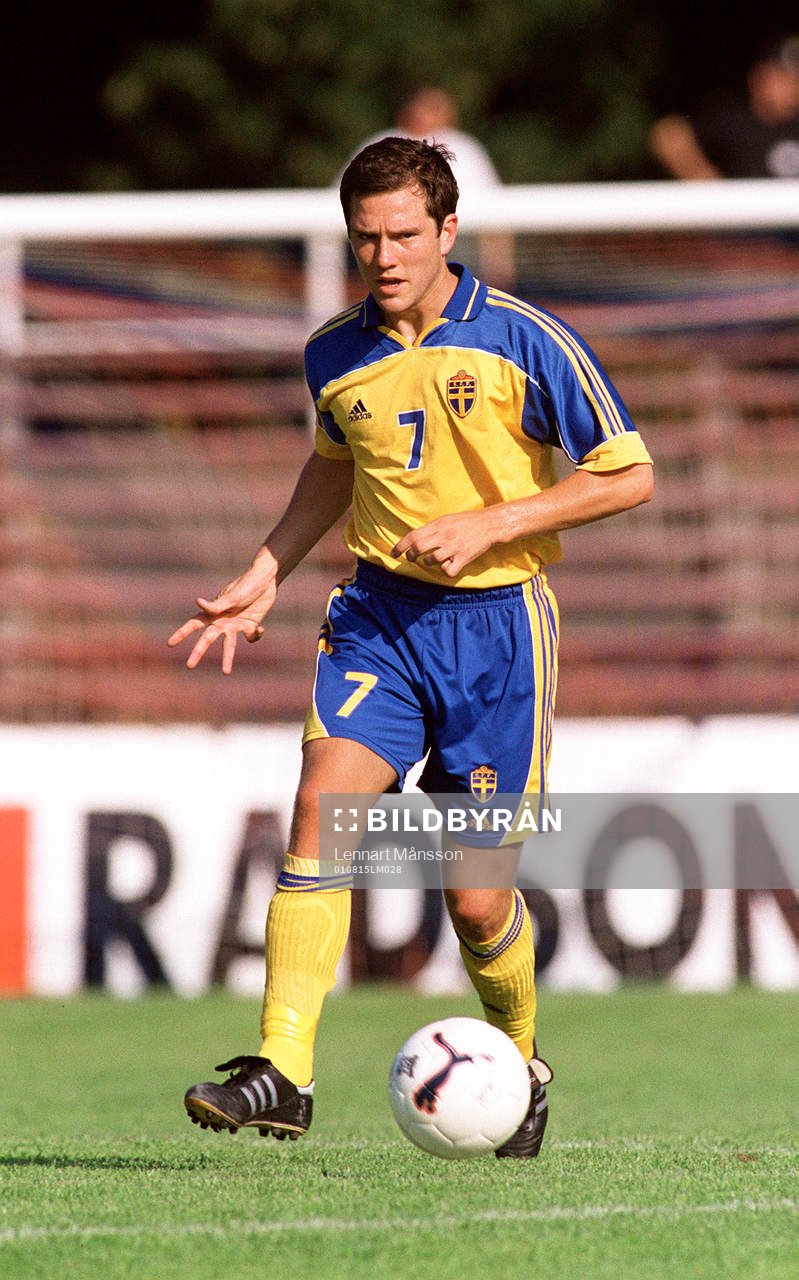 Martin Eriksson, Sverige