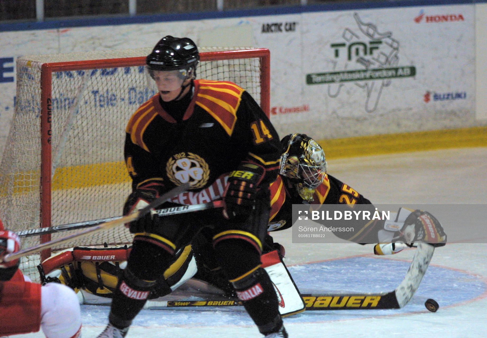 Johan Asplund och Adam Andersson, Brynäs