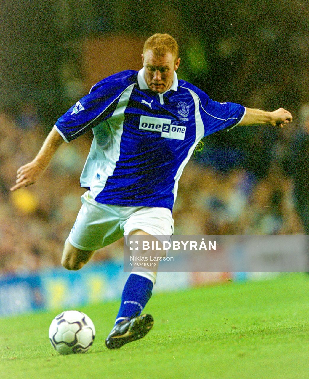 Steve Watson of Everton
