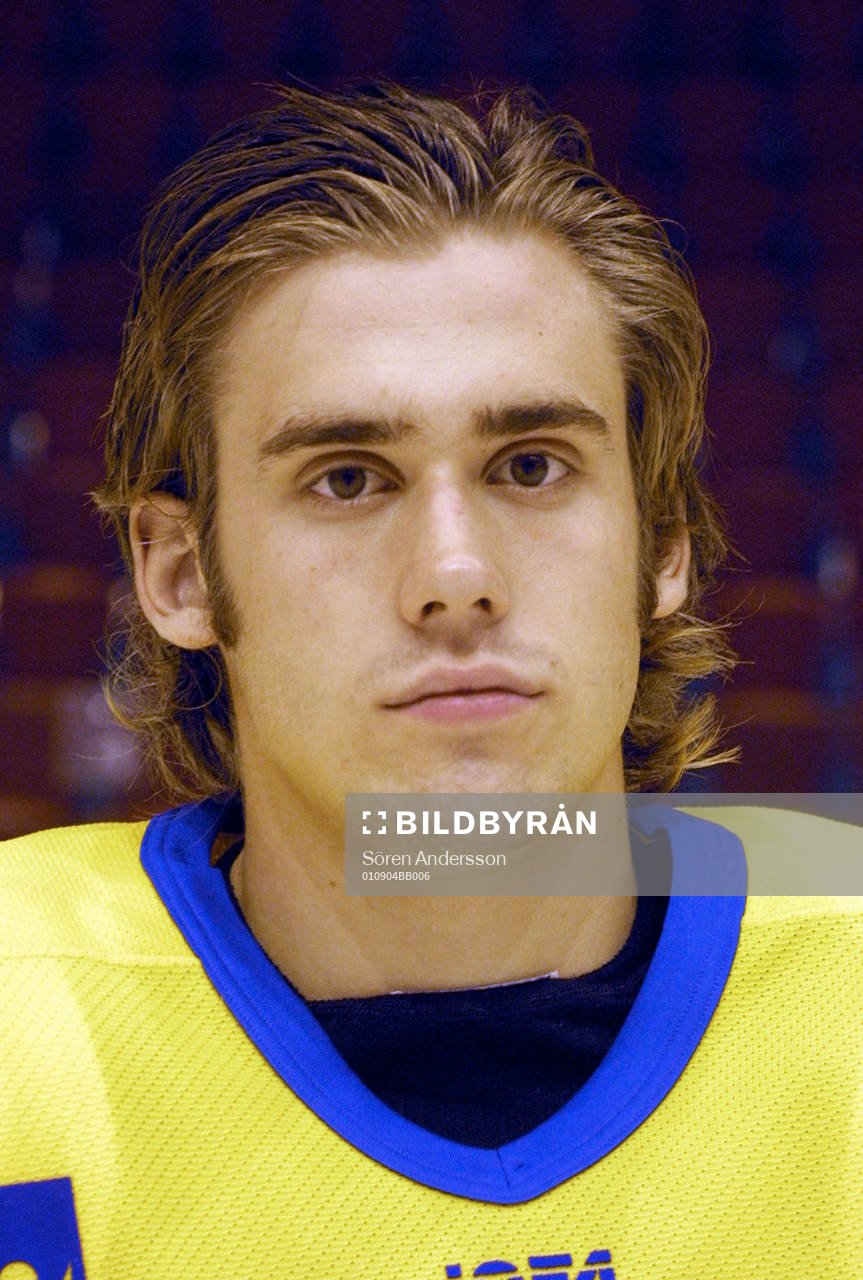 Henrik Zetterberg, sverige