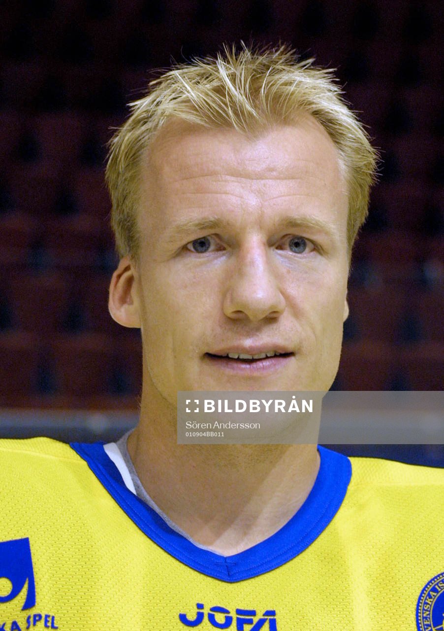 Niklas Andersson, sverige