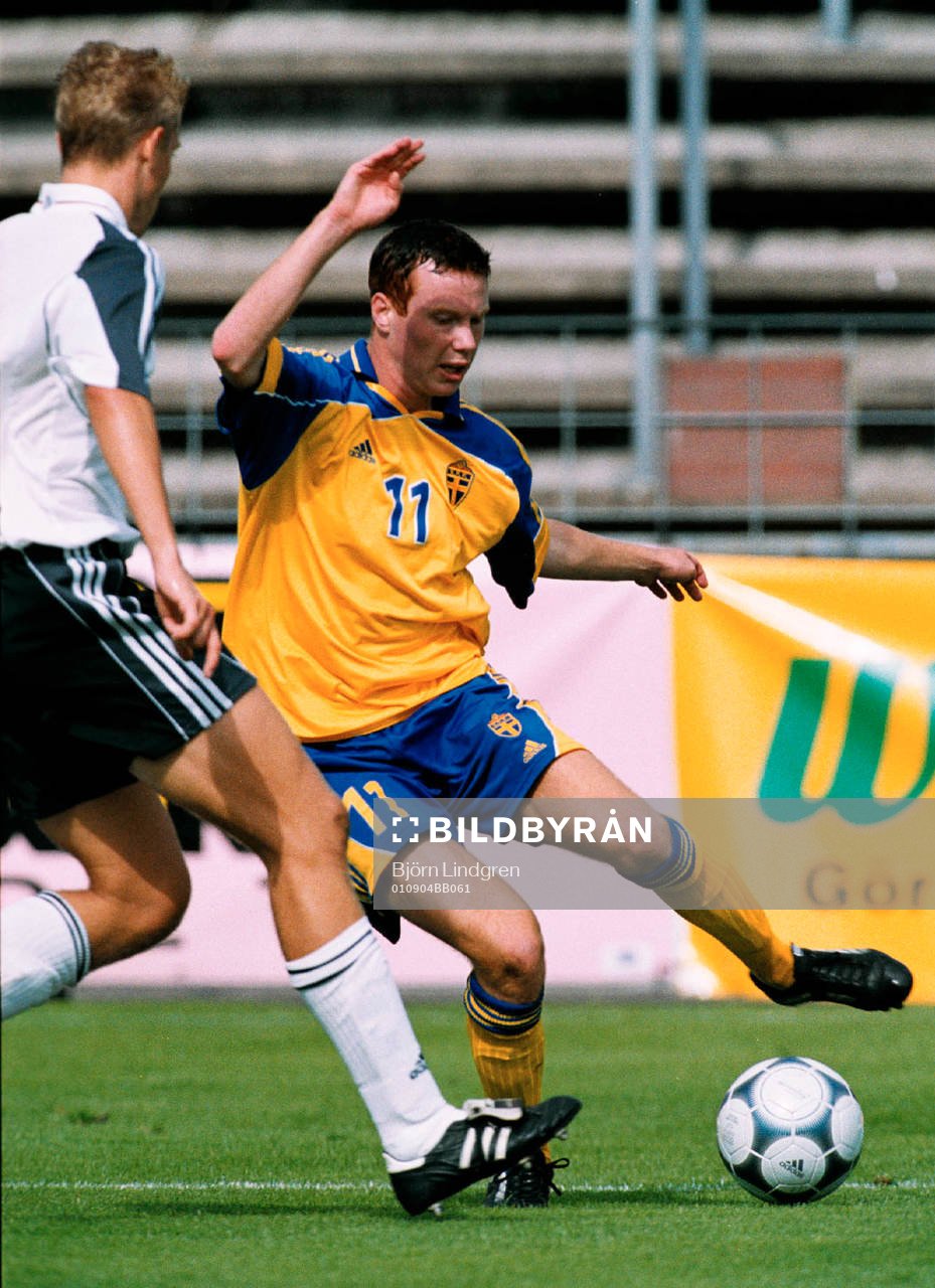 Alexander Farnerud, Sverige
