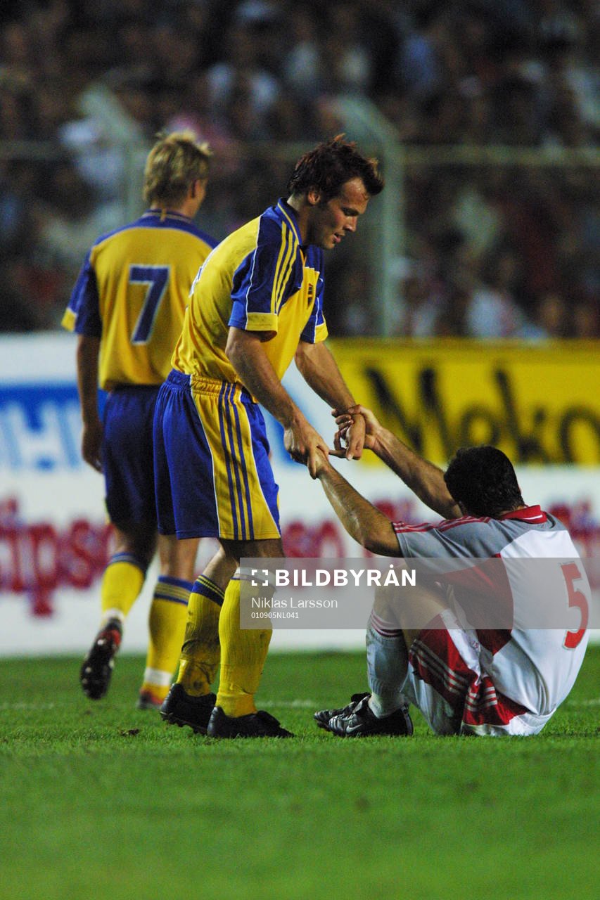 Fredrik Ljungberg, Sverige