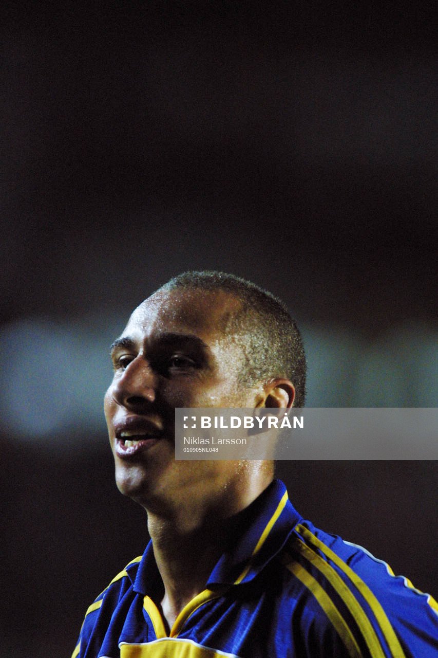 Henrik Larsson, Sverige