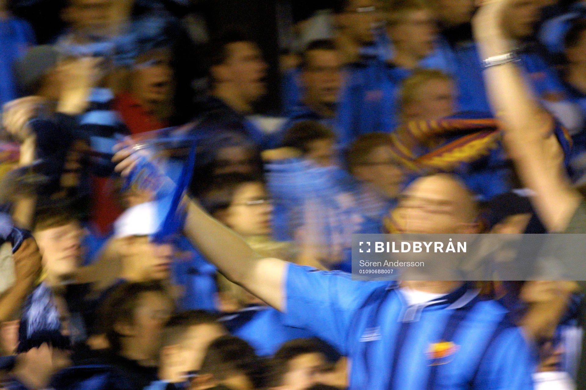 Djurgården, supporter