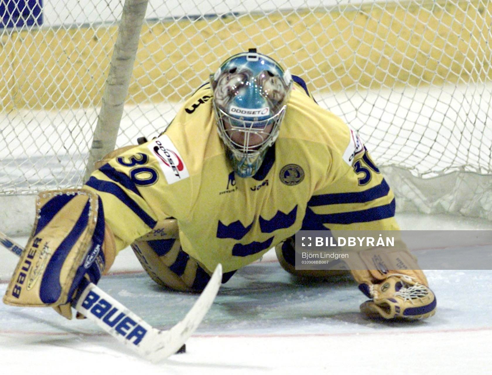 Stefan Liv, Sverige
