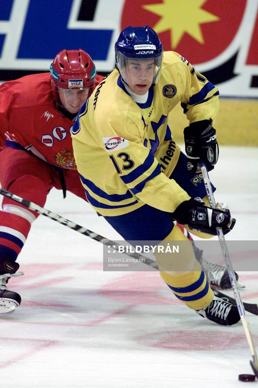 Mattias Weinhandl, Sverige