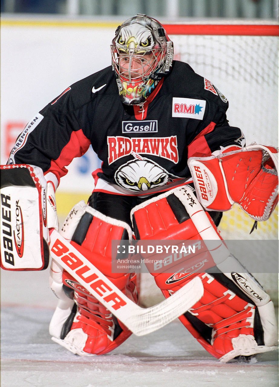 Ishockey, Elitserien, Andreas Hadelöv, målvakt, Malmö