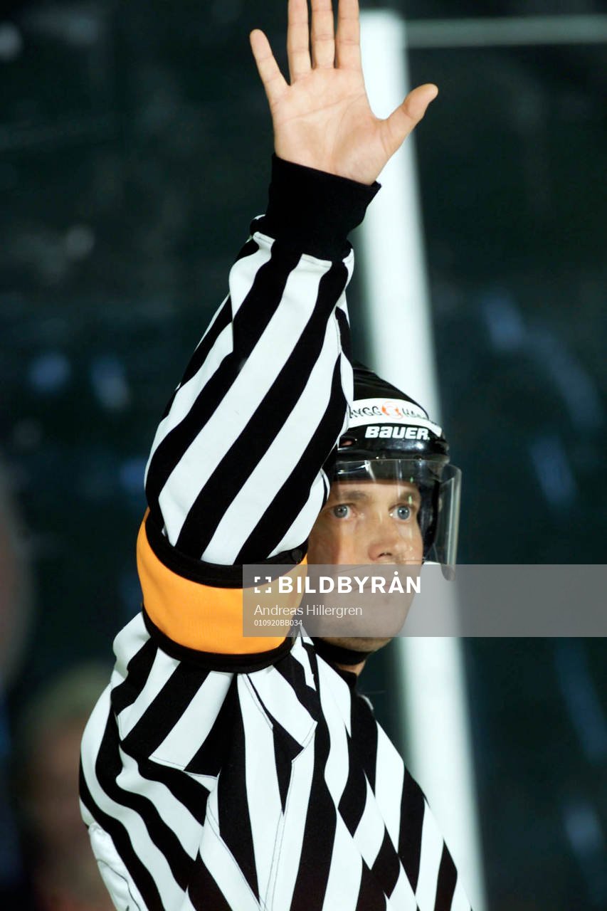 Ishockey, Elitserien, Roger Öberg, domare