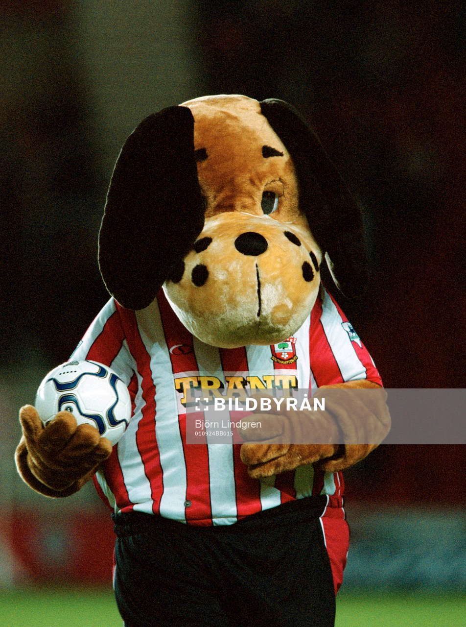Fotboll, Premier League, Southamptons maskot