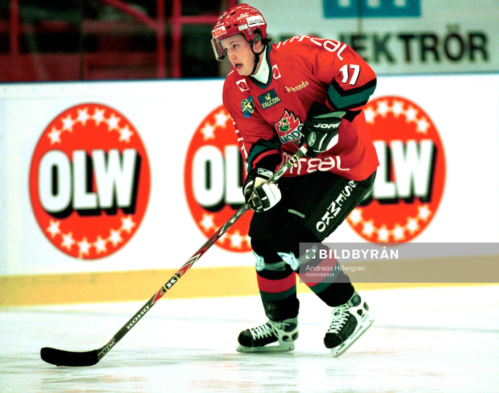 Ishockey, Fredrik Warg, Modo