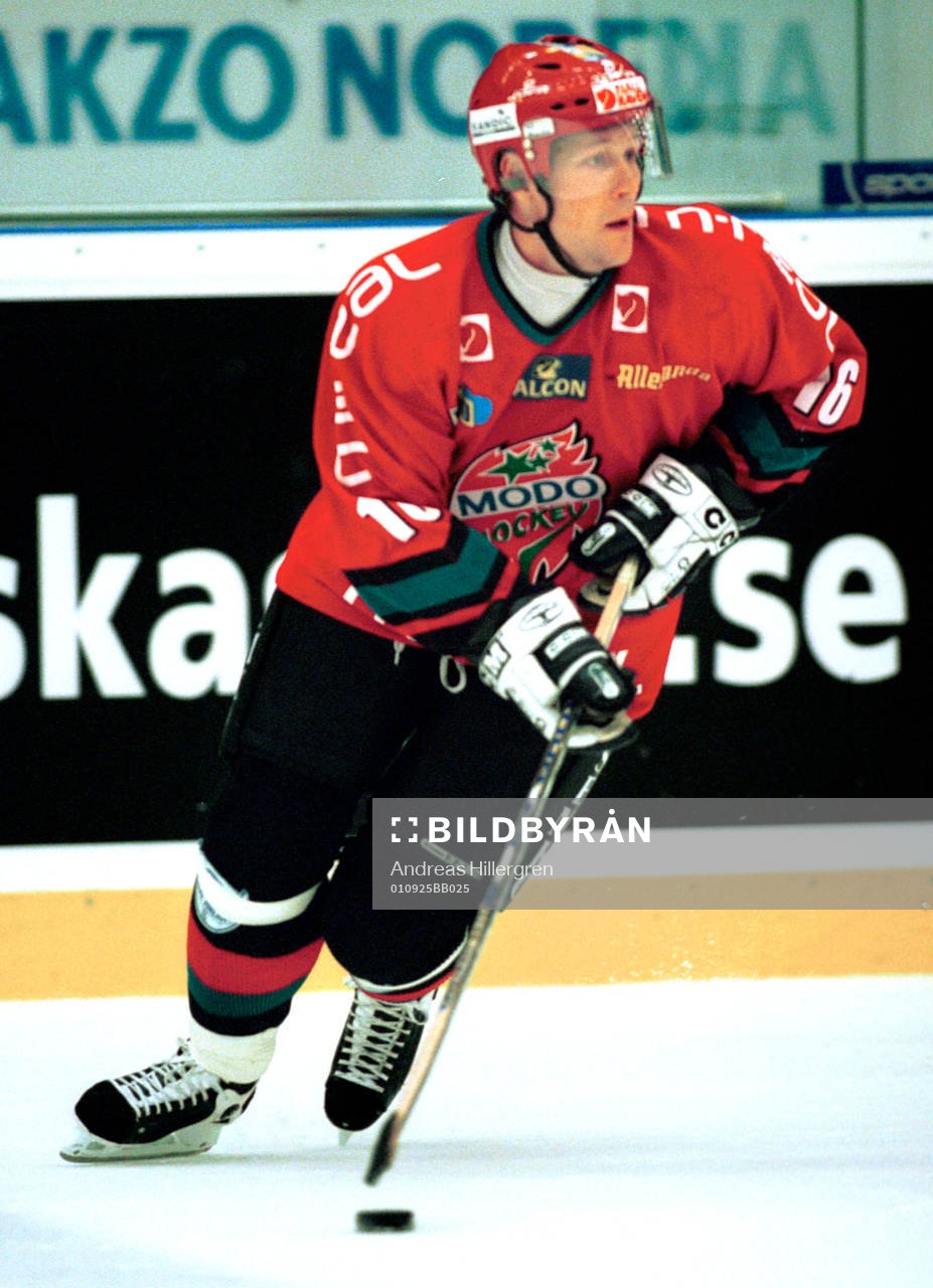 Ishockey, Gregory Johnston, Modo
