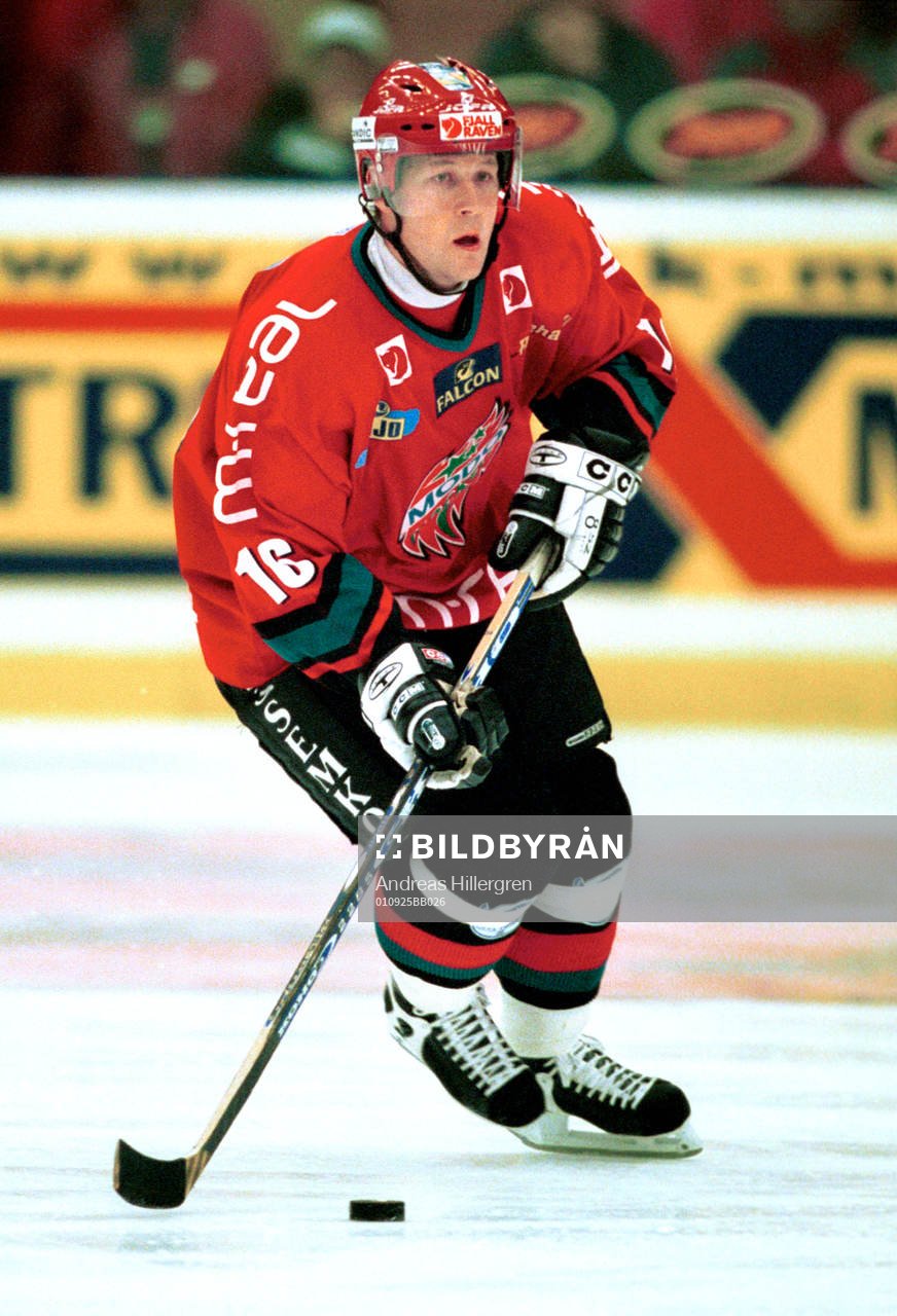 Ishockey, Gregory Johnston, Modo