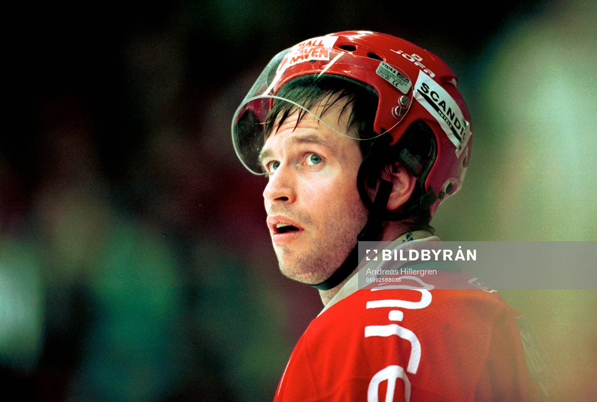 Ishockey, Magnus Wernblom, Modo
