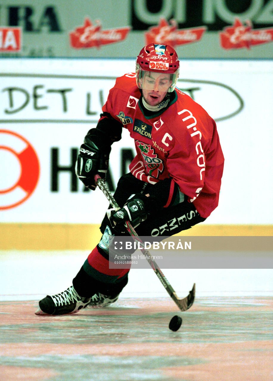 Ishockey, Pierre Hedin, Modo