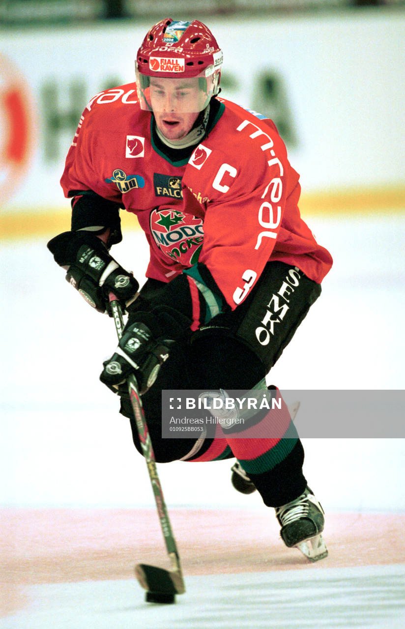 Ishockey, Pierre Hedin, Modo