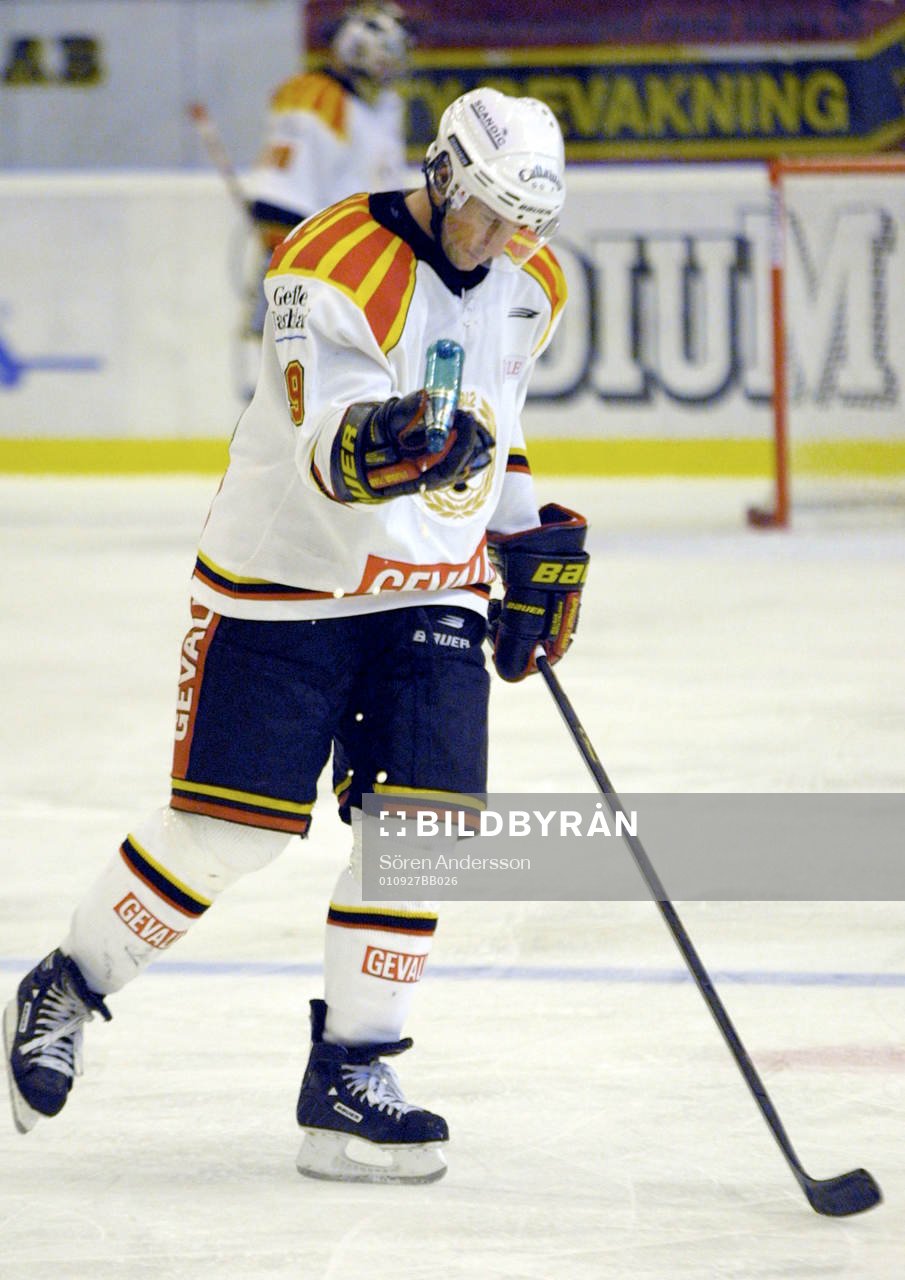 Tom Bisset, Brynäs med ölflaska