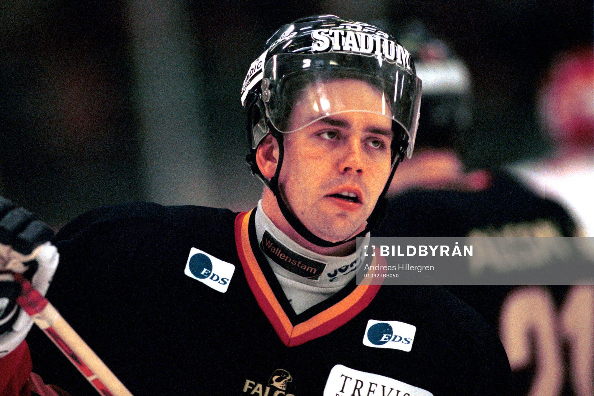 Ishockey, Elitserien, Nichlas Falk, Djurgården