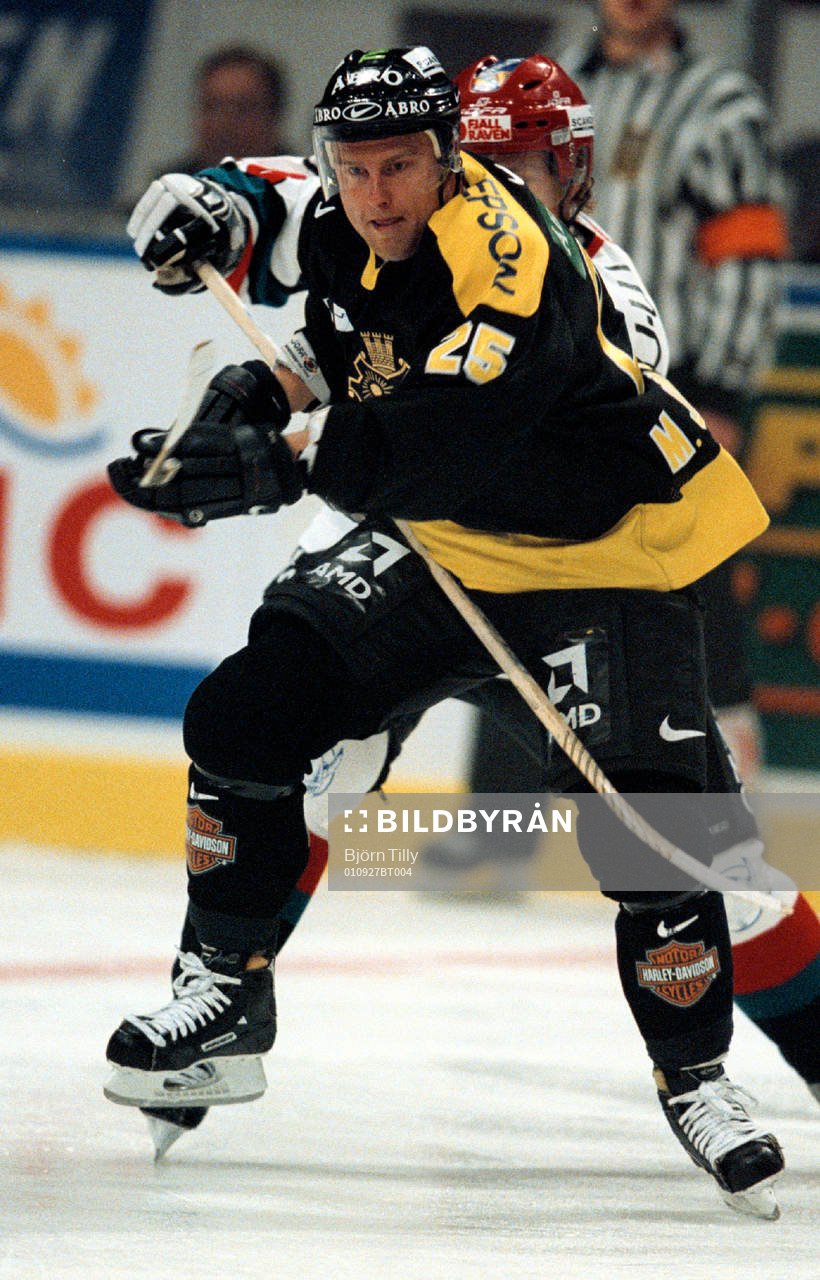 Ishockey, Elitserien, Michael Johansson, AIK
