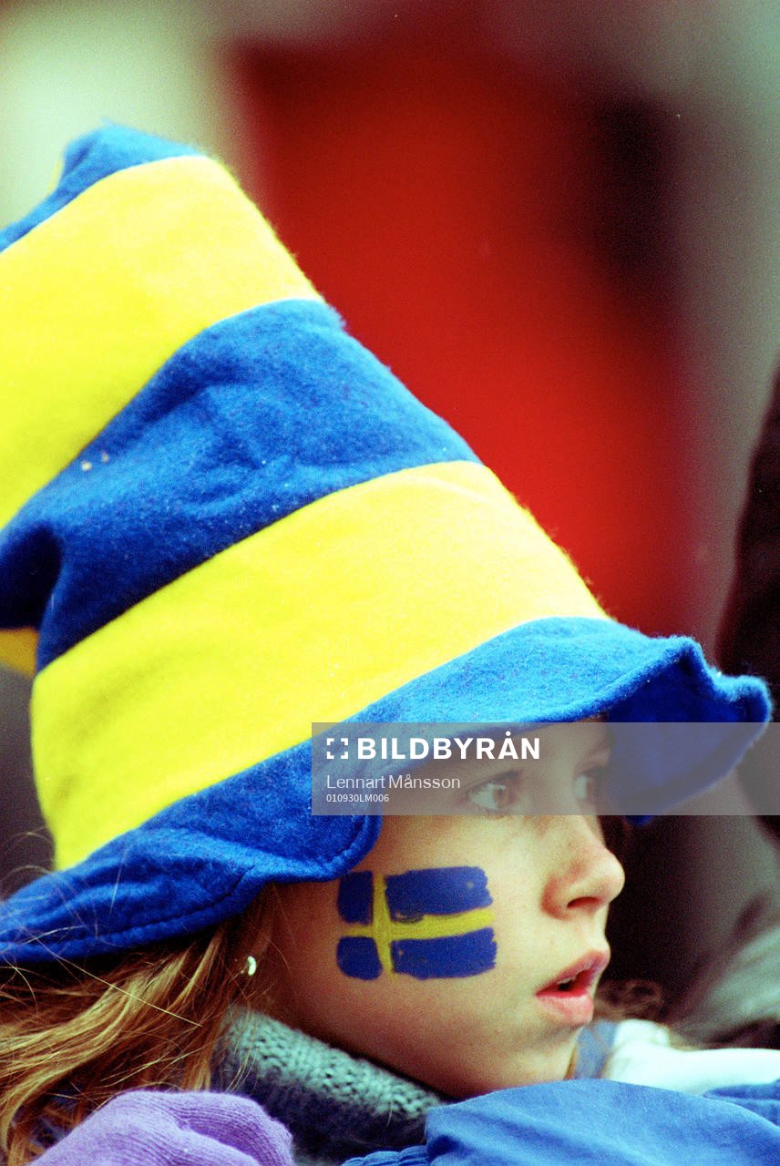 Supporter, Svensk