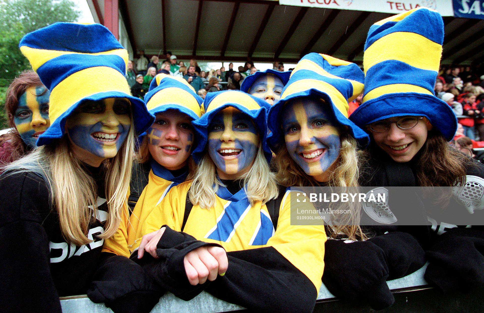 Supporter, Sverige