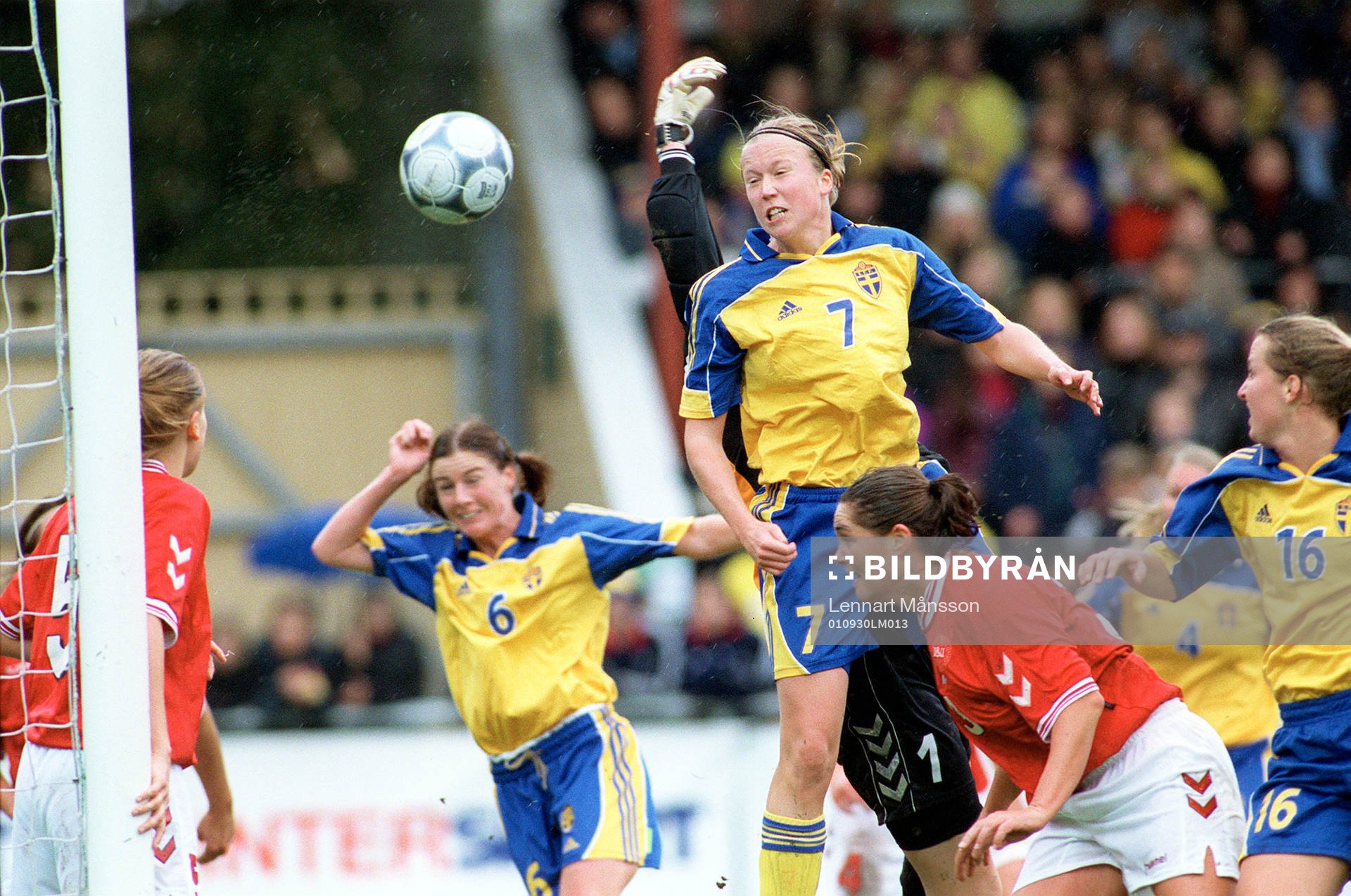 Sara Larsson, Sverige