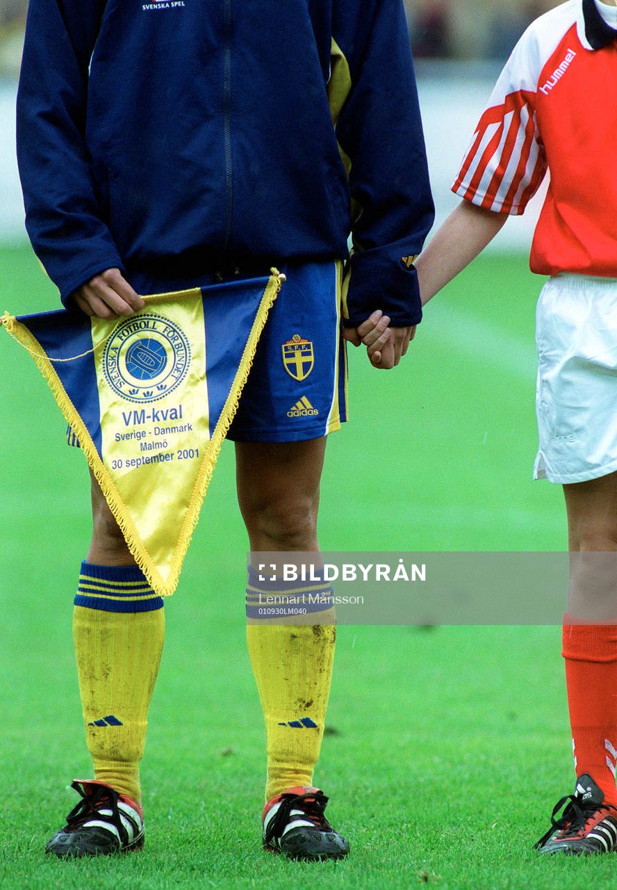 Sverige - Danmark, VM-kval…