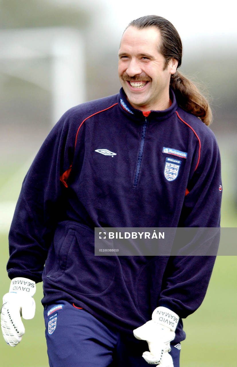 David Seaman, England