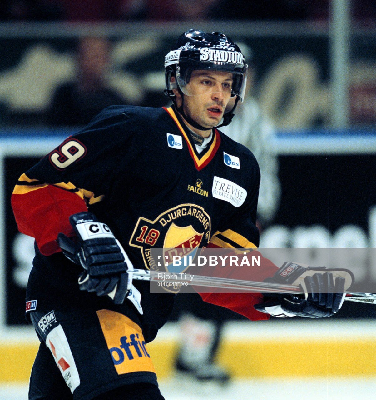 Ishockey, Elitserien. Jan Pardavy, Djurgården