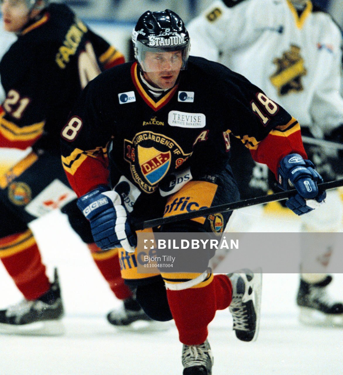 Ishockey, Elitserien. Tomas Strandberg, Djurgården