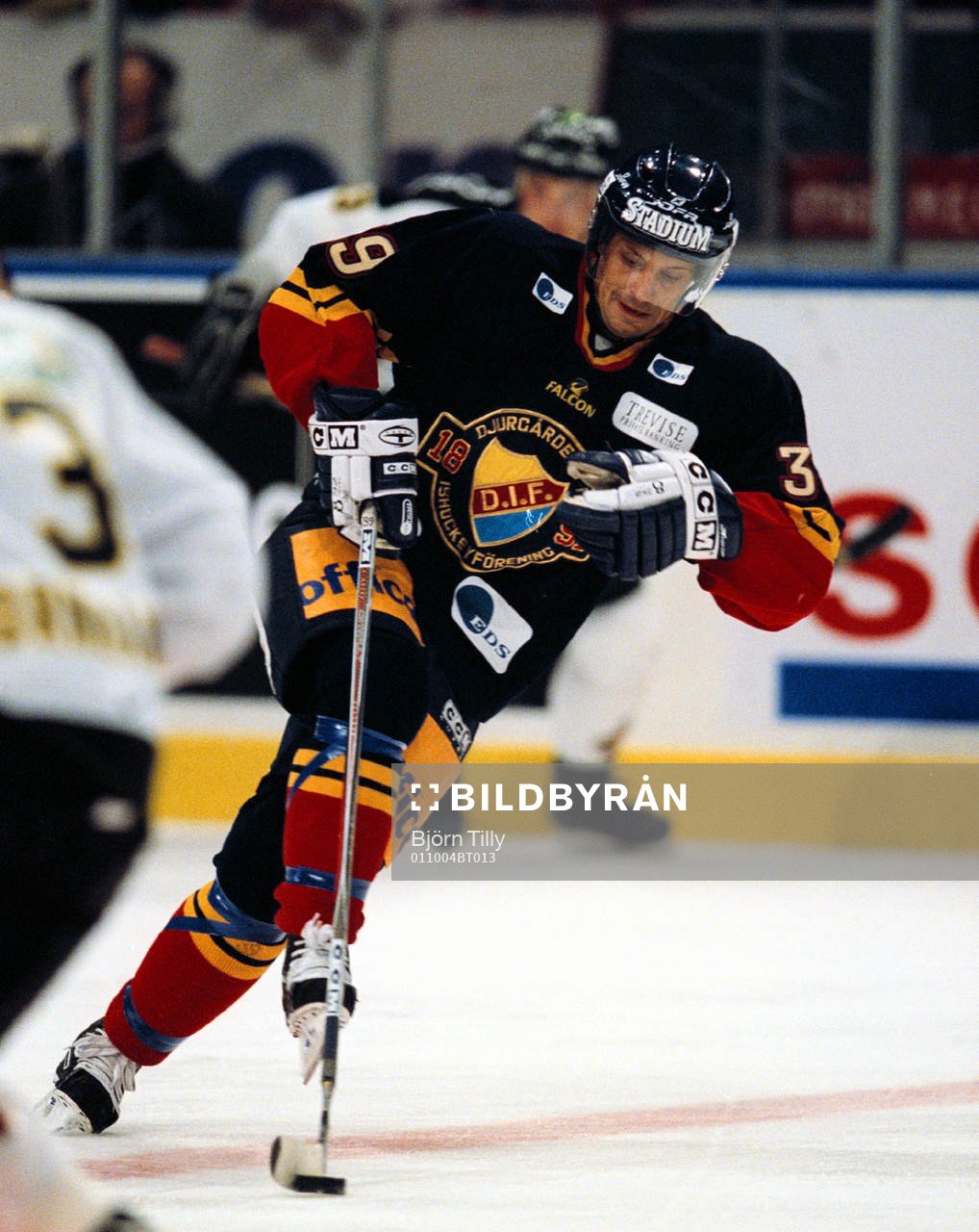Ishockey, Elitserien. Jan Pardavy, Djurgården