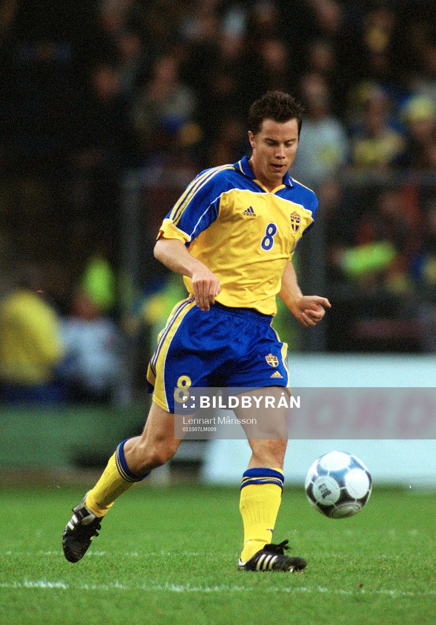 Daniel Andersson, Sverige