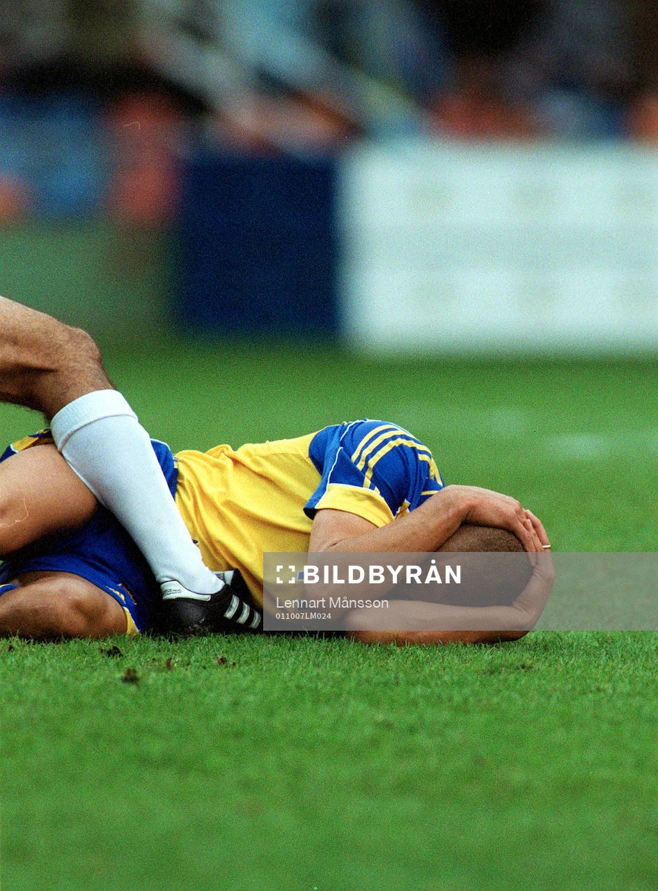 Henrik Larsson, Sverige
