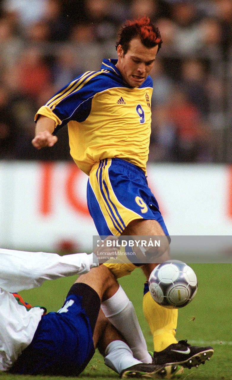 Fredrik Ljungberg, Sverige