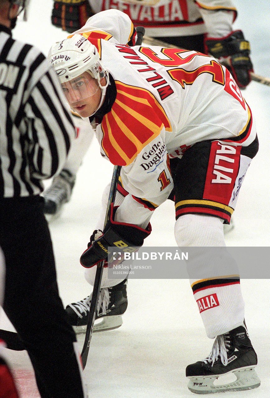Ishockey, Elitserien, Jeffrey Williams, Brynäs