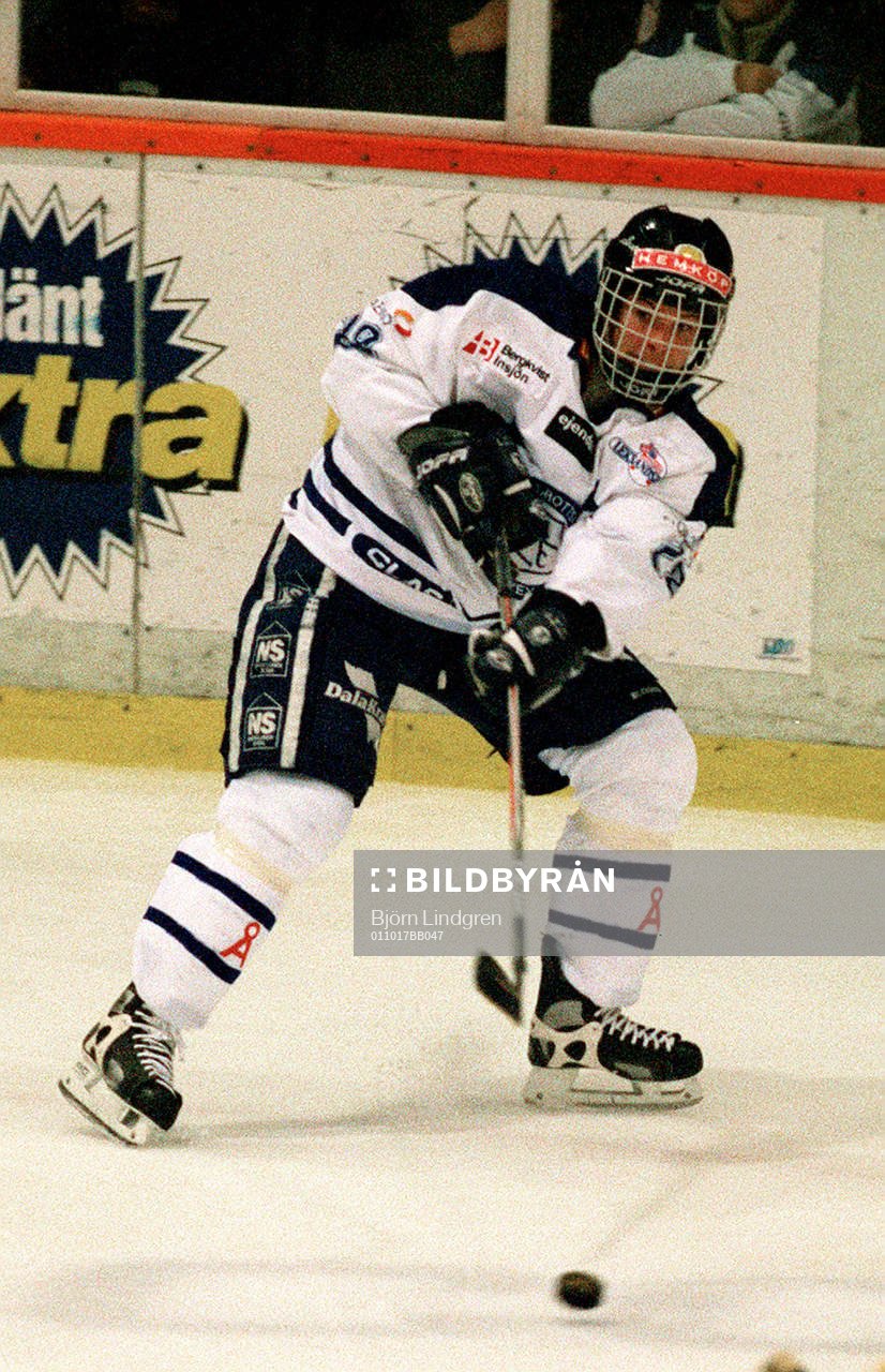 Ishockey, Södra Allsvenskan, Robert Nilsson,  Leksand
