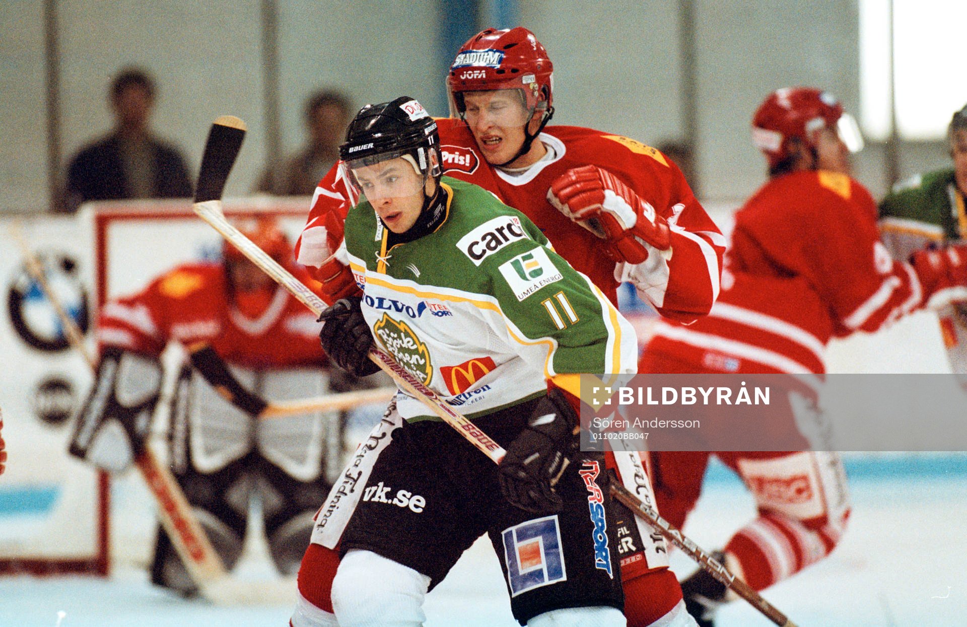 Francois Rozenthal, Björklöven