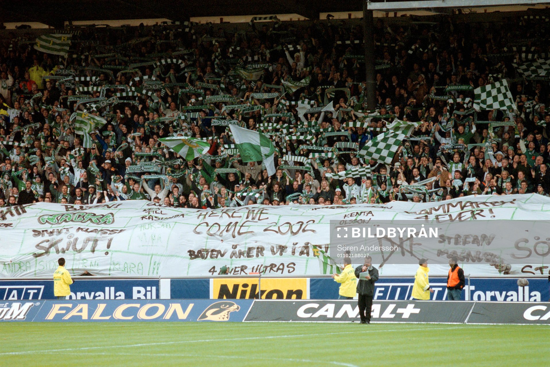 Hammarby, supporter