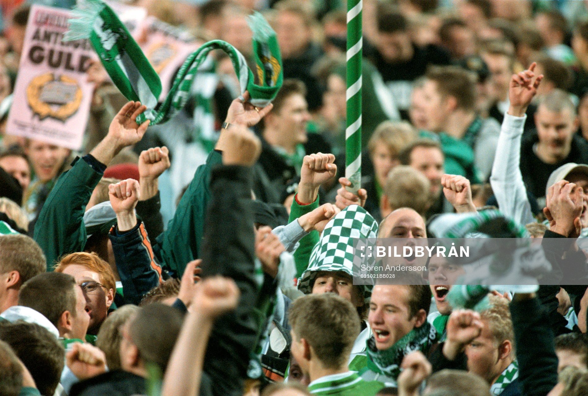 Hammarby, supporter