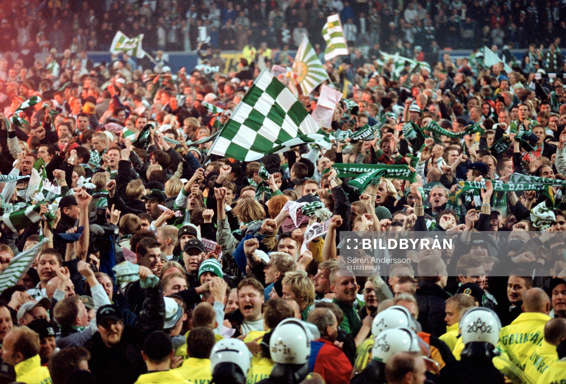 Hammarby, supporter