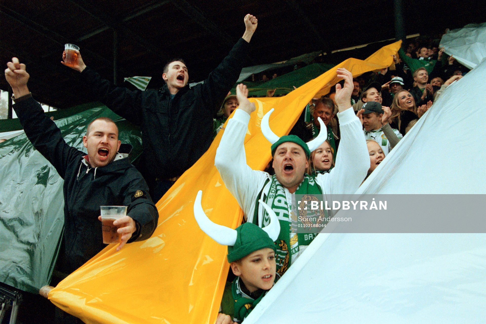 Supporter, Hammarby