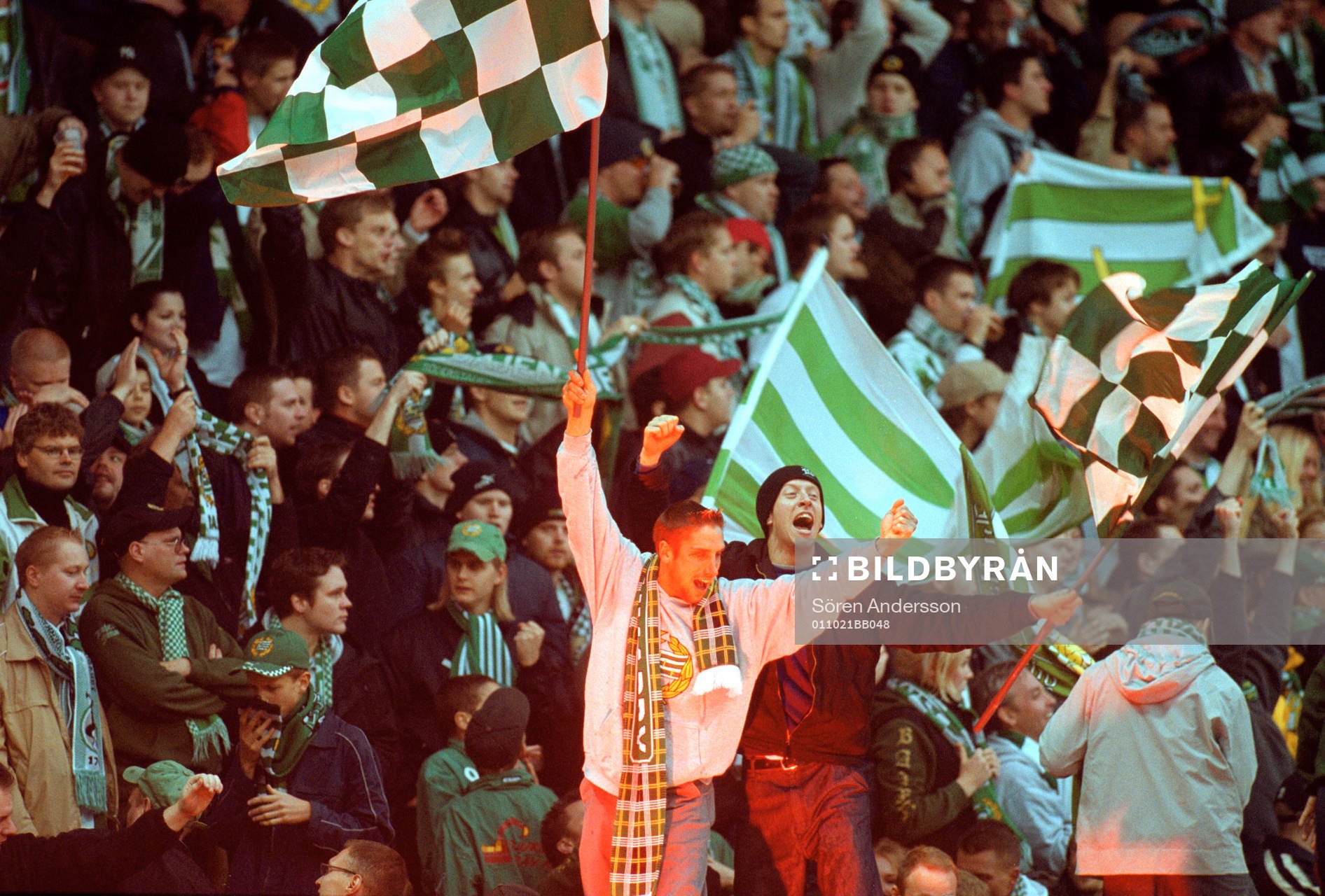 Hammarby, supporter