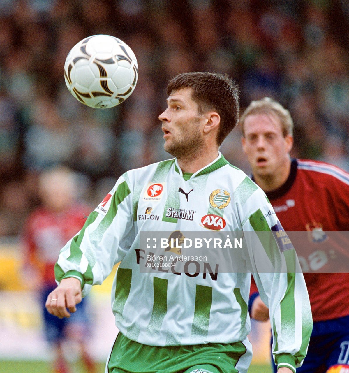 Trym Bergman, Hammarby