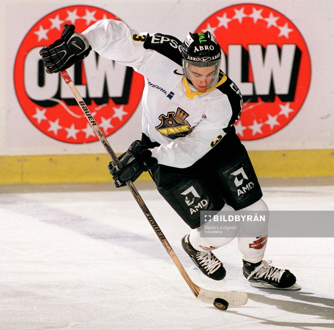 Ishockey, Elitserien, David Bornhammar, AIK