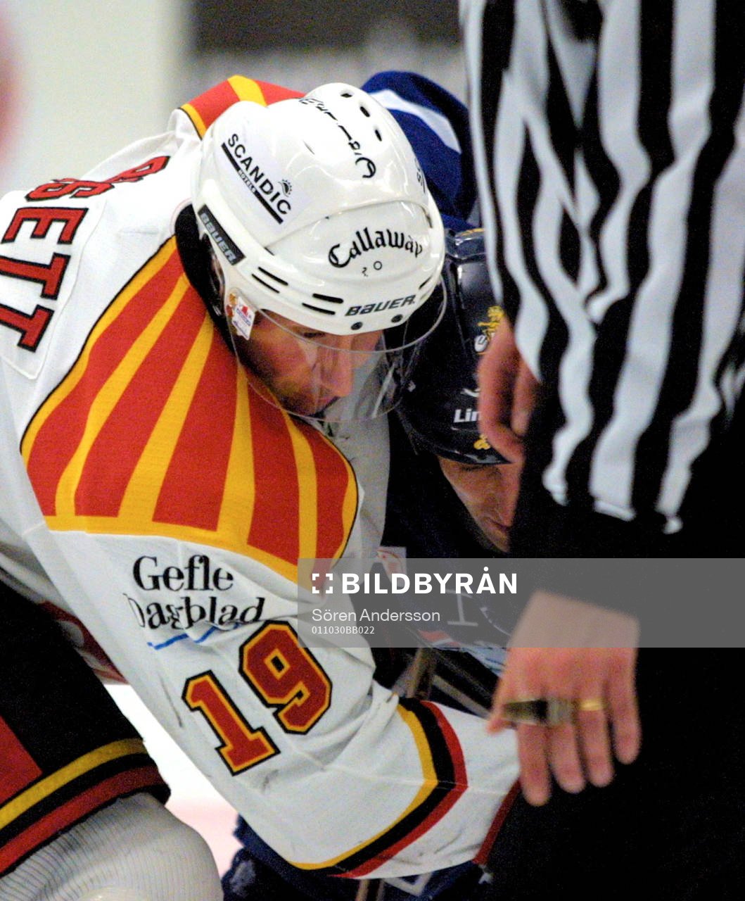 Tom Bisset, Brynäs