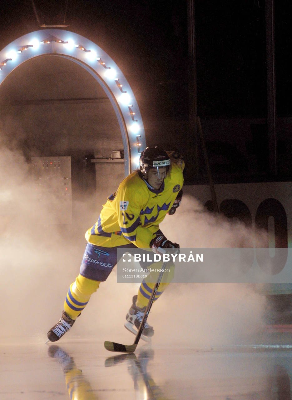 Henrik Zetterberg, Sverige