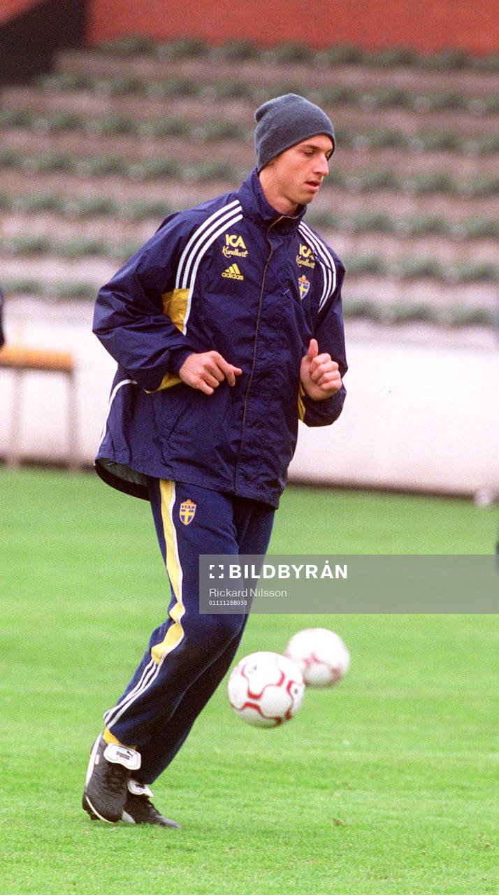Zlatan Ibrahimovic, Sverige